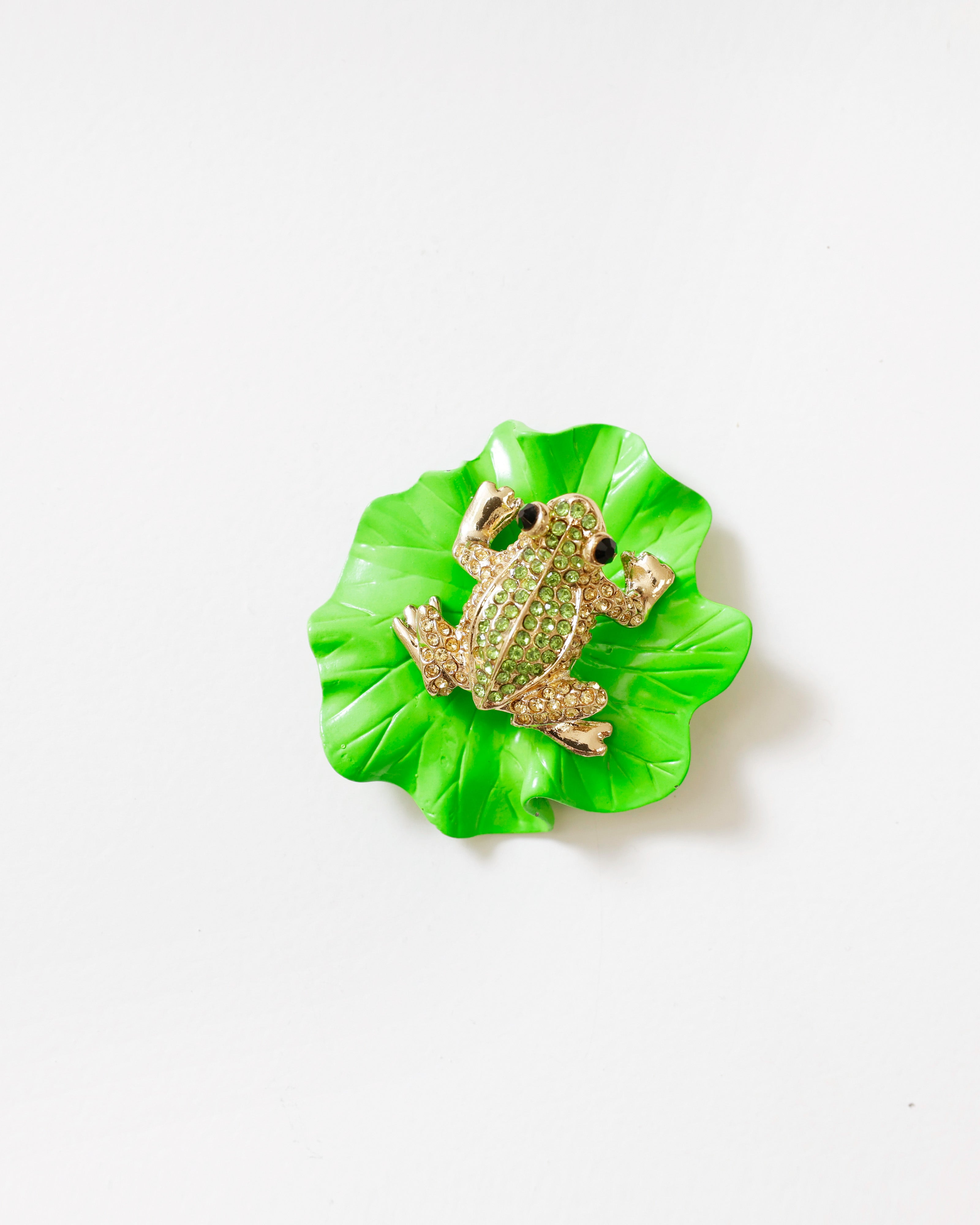 Broche Kikker op Groen Blad